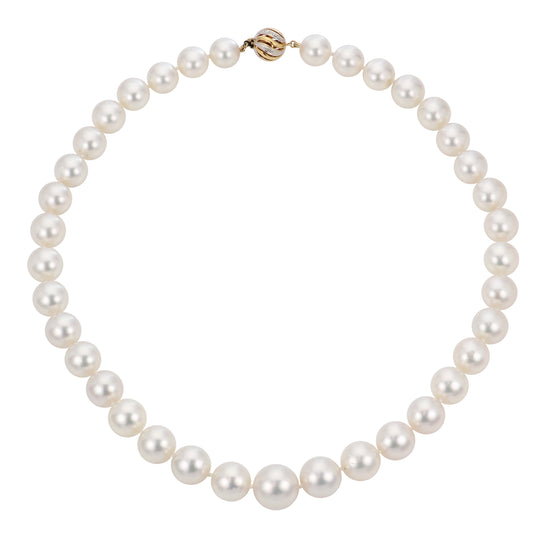 14KT Yellow Gold White South Sea Pearl Necklace
