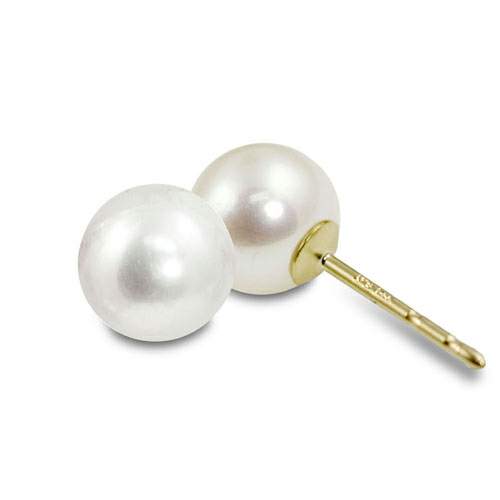 14KT Yellow Gold Akoya Pearl Earring