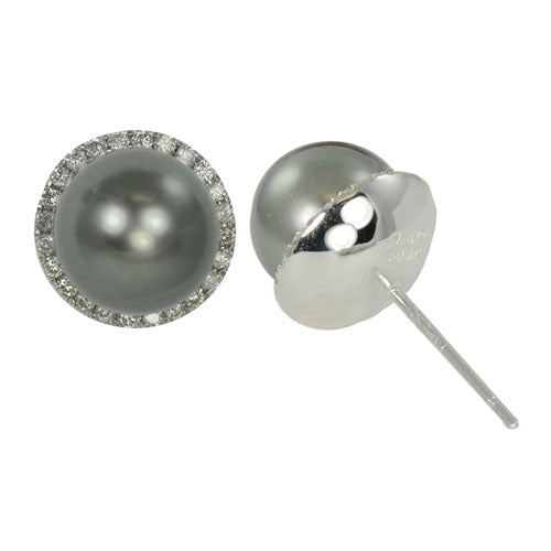 14KT White Gold Tahitian Pearl Earring