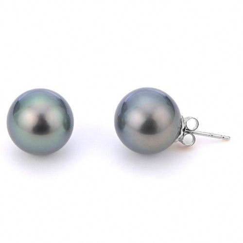 14 KT Tahitian Stud (Select Pearl Size, Quality, & Gold Color)