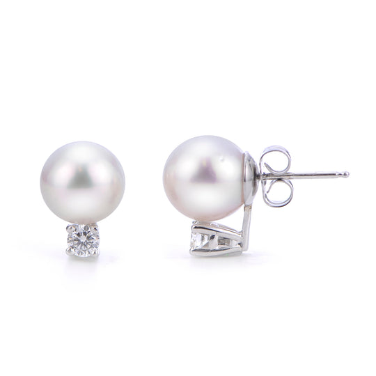 14KT White Gold White South Sea Pearl Earring