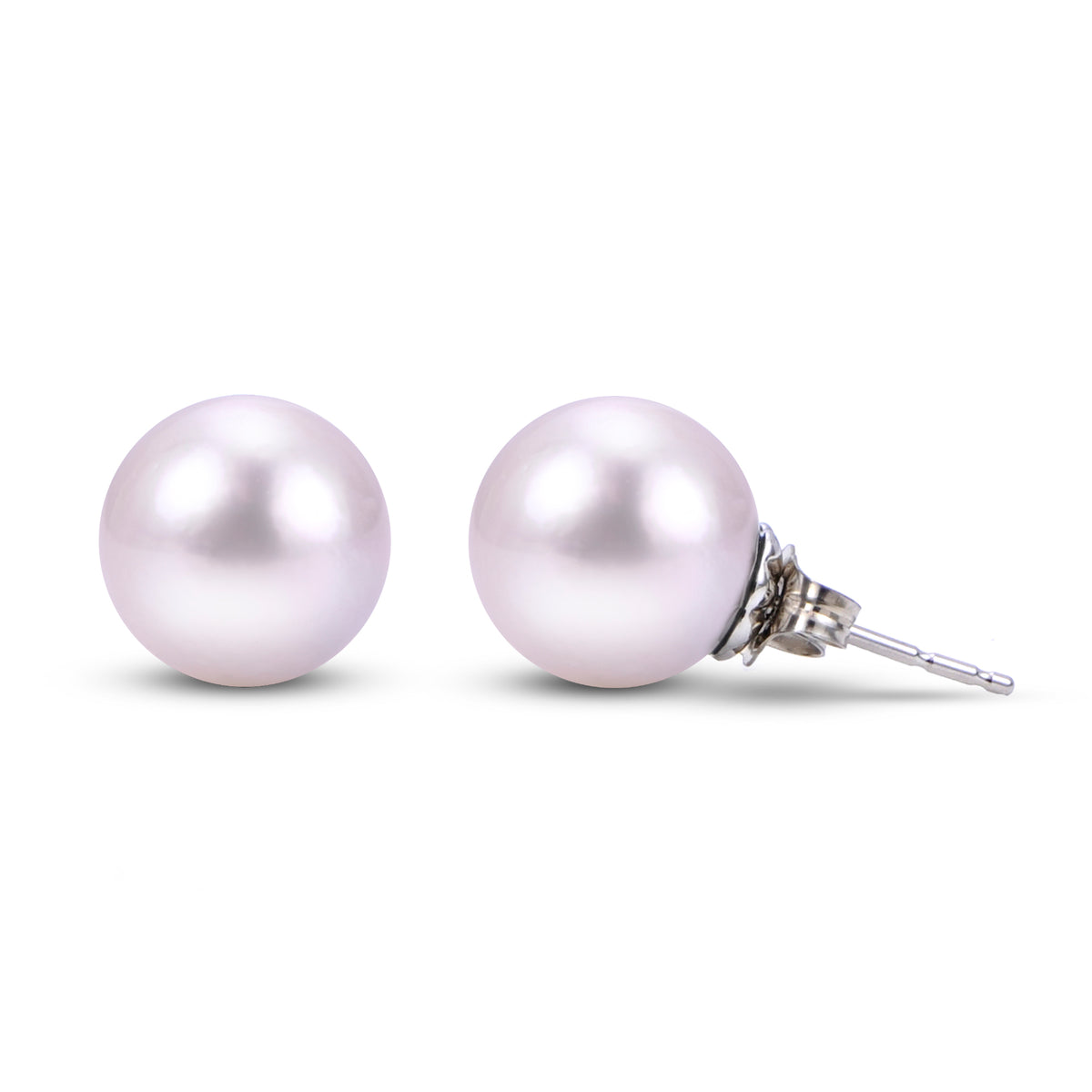 14KT White South Sea Pearl Stud (Select Quality, Size, & Gold Color)